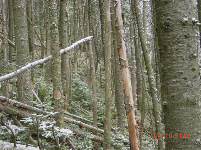 P18_Just_Up_From_Point_27_Steep_&_Washed_Out_Boulders.jpg