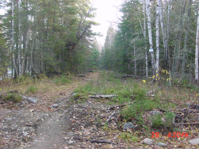 P18_Photo_Along_Nash_Stream_Near_Posted_Property.jpg
