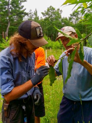 MCC Environmental Steward water testing water quality.