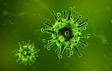 influenza virus
