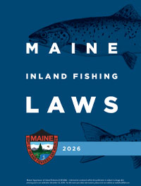 View fishing law book